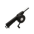 Accesorios barbacoa, pistola aire