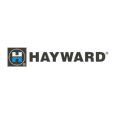 Hayward